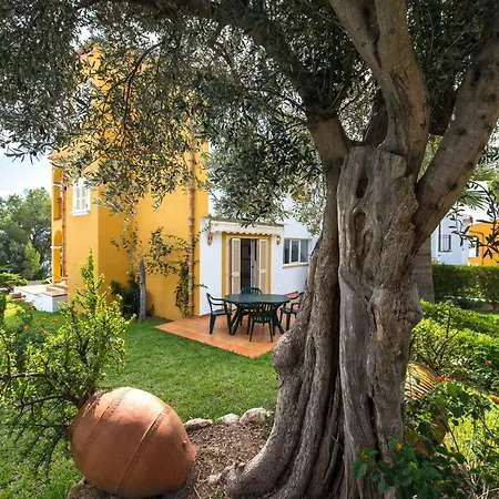 Lejlighedshotel Ona Aucanada Port de Alcudia (Mallorca)